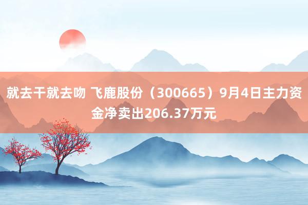 就去干就去吻 飞鹿股份（300665）9月4日主力资金净卖出206.37万元