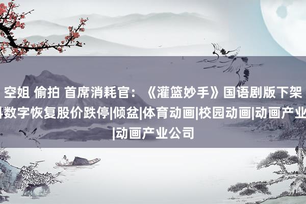 空姐 偷拍 首席消耗官：《灌篮妙手》国语剧版下架 电科数字恢复股价跌停|倾盆|体育动画|校园动画|动画产业公司