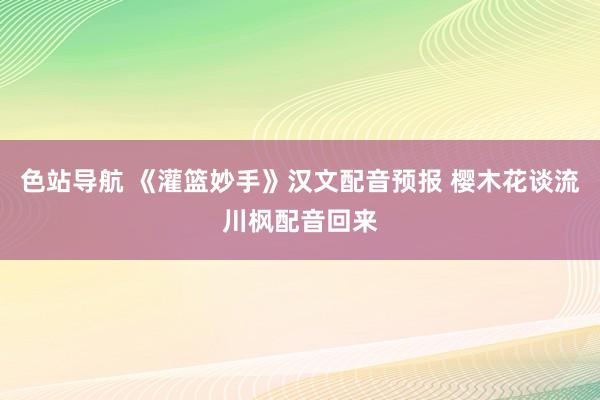 色站导航 《灌篮妙手》汉文配音预报 樱木花谈流川枫配音回来