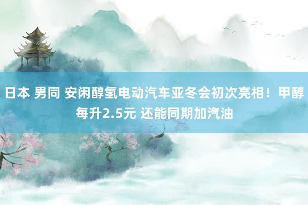 日本 男同 安闲醇氢电动汽车亚冬会初次亮相！甲醇每升2.5元 还能同期加汽油