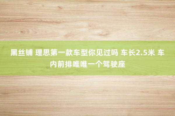 黑丝铺 理思第一款车型你见过吗 车长2.5米 车内前排唯唯一个驾驶座