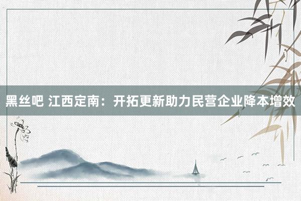 黑丝吧 江西定南：开拓更新助力民营企业降本增效