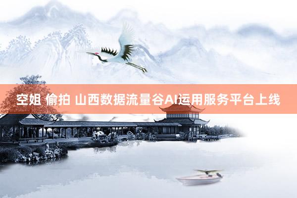 空姐 偷拍 山西数据流量谷AI运用服务平台上线