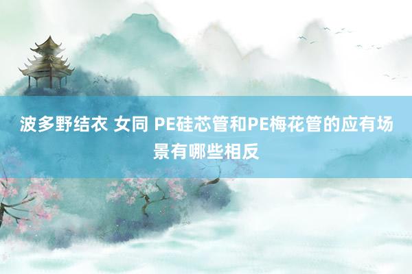 波多野结衣 女同 PE硅芯管和PE梅花管的应有场景有哪些相反