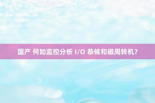 国产 何如监控分析 I/O 恭候和磁周转机？