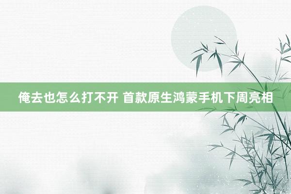 俺去也怎么打不开 首款原生鸿蒙手机下周亮相