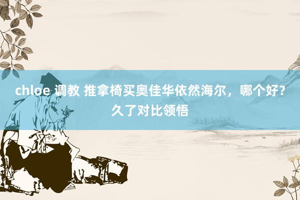 chloe 调教 推拿椅买奥佳华依然海尔，哪个好？久了对比领悟