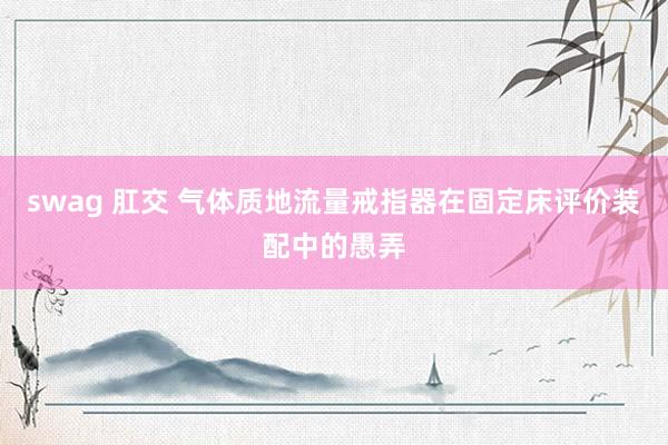 swag 肛交 气体质地流量戒指器在固定床评价装配中的愚弄