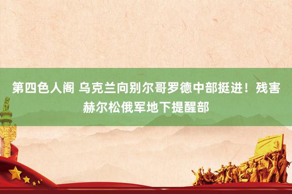 第四色人阁 乌克兰向别尔哥罗德中部挺进！残害赫尔松俄军地下提醒部