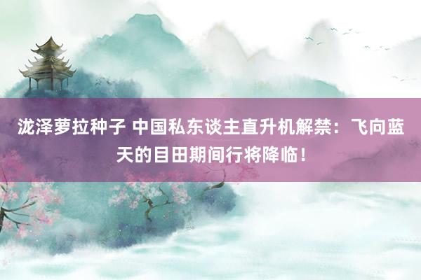泷泽萝拉种子 中国私东谈主直升机解禁：飞向蓝天的目田期间行将降临！