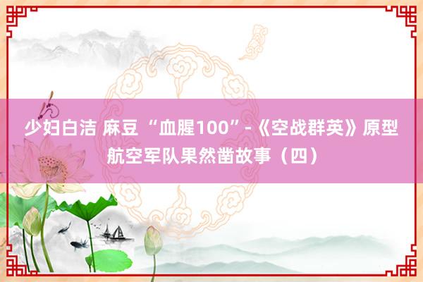 少妇白洁 麻豆 “血腥100”-《空战群英》原型航空军队果然凿故事（四）