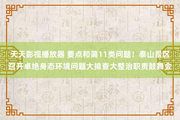 天天影视播放器 要点和蔼11类问题！泰山景区召开卓绝身态环境问题大排查大整治职责鼓舞会