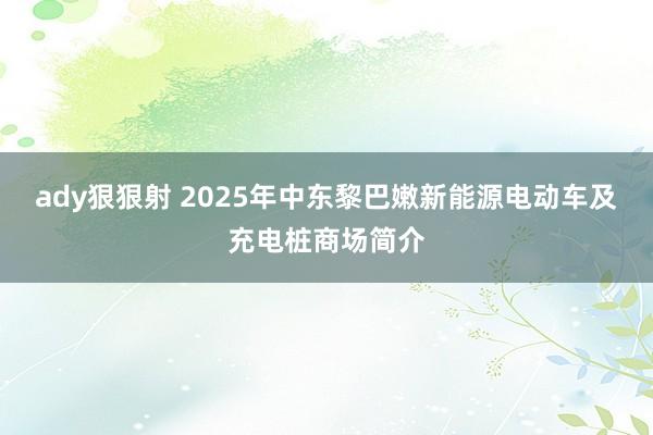 ady狠狠射 2025年中东黎巴嫩新能源电动车及充电桩商场简介