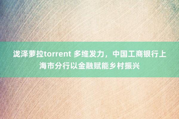 泷泽萝拉torrent 多维发力，中国工商银行上海市分行以金融赋能乡村振兴