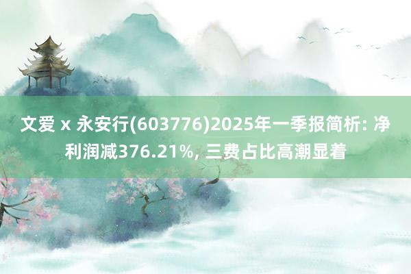 文爱 x 永安行(603776)2025年一季报简析: 净利润减376.21%, 三费占比高潮显着
