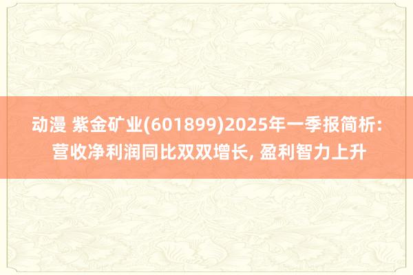动漫 紫金矿业(601899)2025年一季报简析: 营收净利润同比双双增长, 盈利智力上升