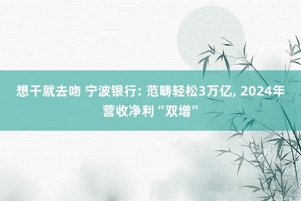 想干就去吻 宁波银行: 范畴轻松3万亿, 2024年营收净利“双增”