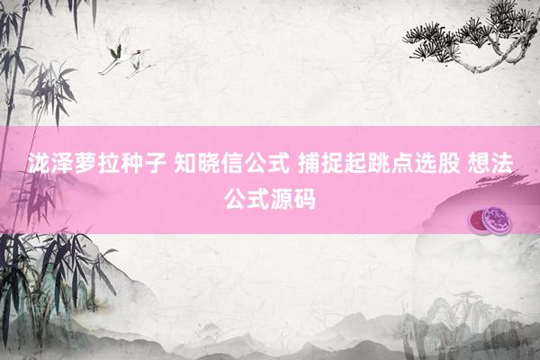 泷泽萝拉种子 知晓信公式 捕捉起跳点选股 想法公式源码