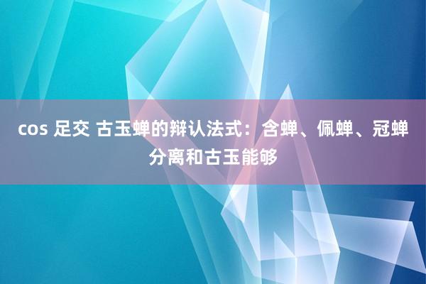 cos 足交 古玉蝉的辩认法式：含蝉、佩蝉、冠蝉分离和古玉能够