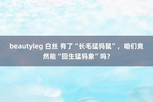 beautyleg 白丝 有了“长毛猛犸鼠”，咱们竟然能“回生猛犸象”吗？